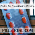 African Black Ant Pills 06